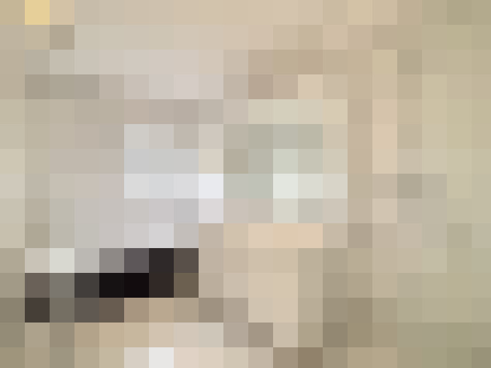  / #8