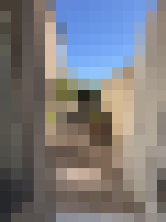  / #6