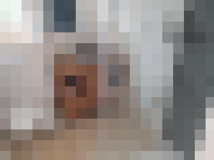  / #8