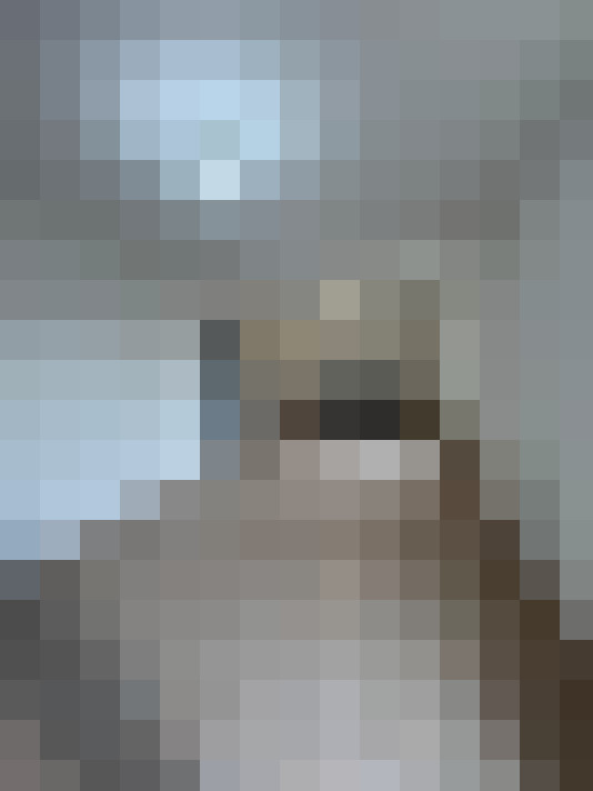  / #8