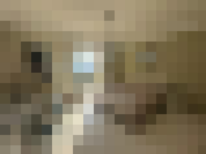  / #9