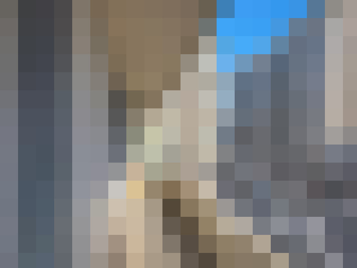  / #8
