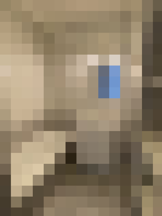  / #13