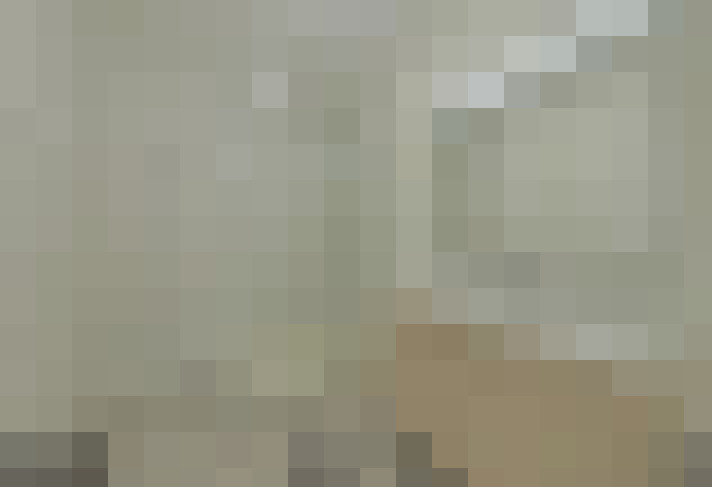  / #5