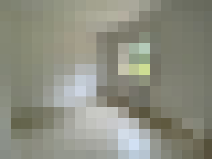  / #8