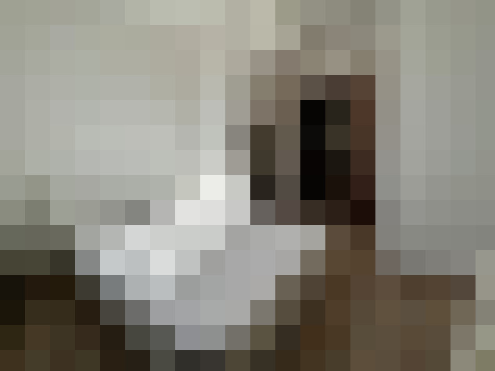  / #9