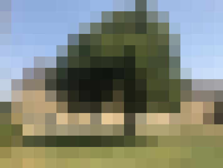  / #7