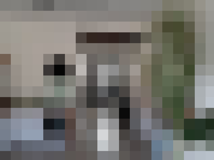  / #6