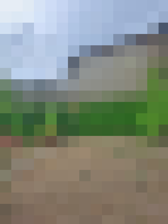  / #9