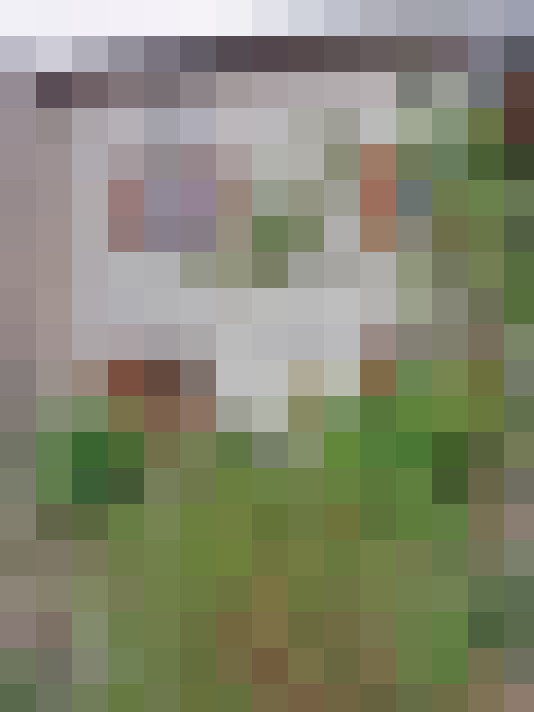  / #8