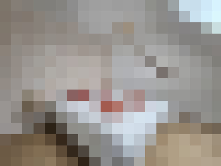  / #8