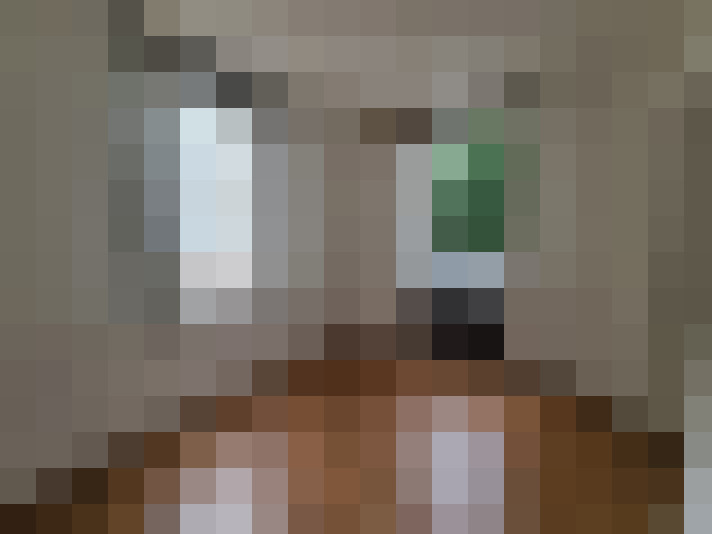  / #6