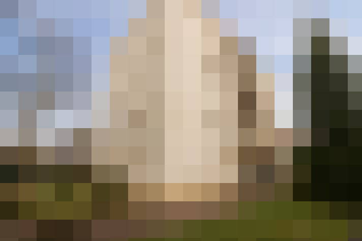  / #6