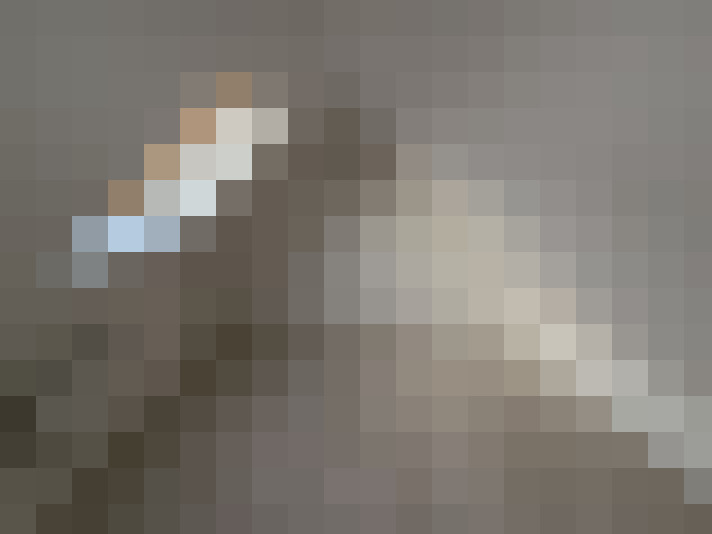  / #19