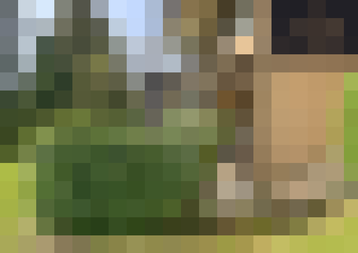  / #7