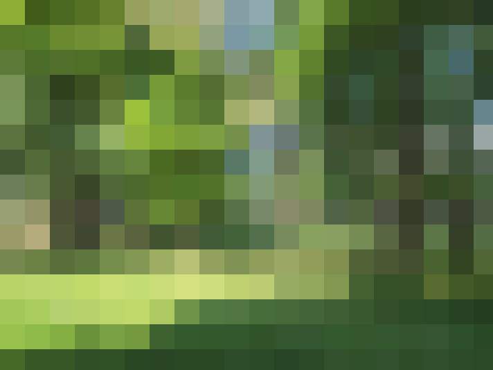  / #8
