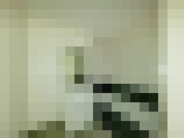  / #6