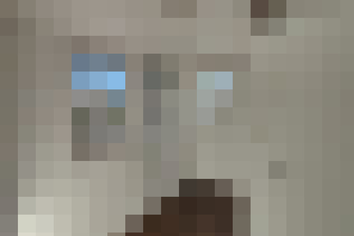  / #4