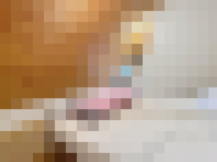  / #15