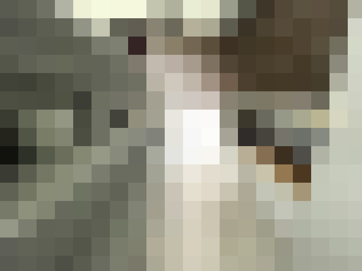  / #7