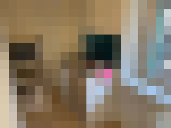  / #7