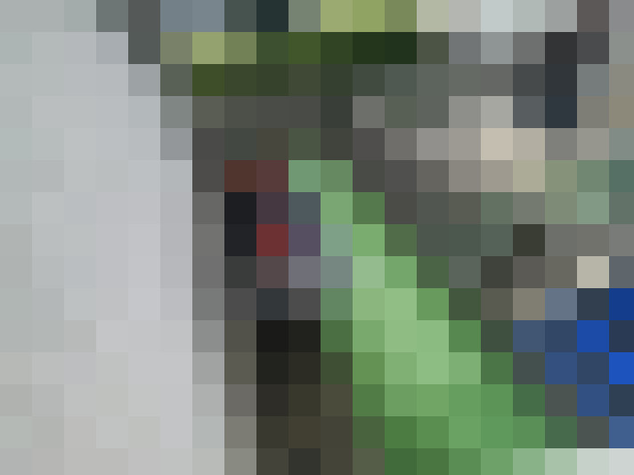  / #8