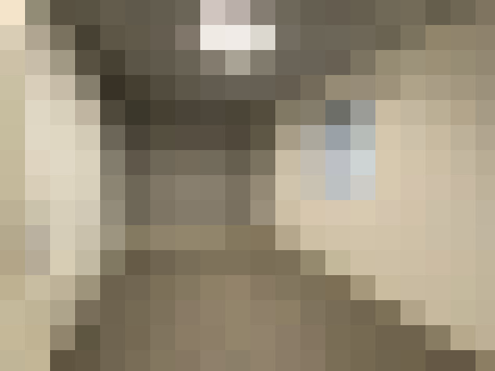  / #11