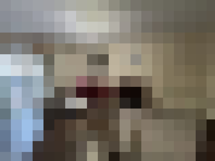  / #8