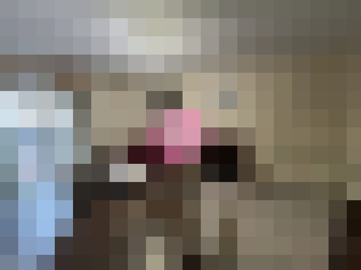  / #7