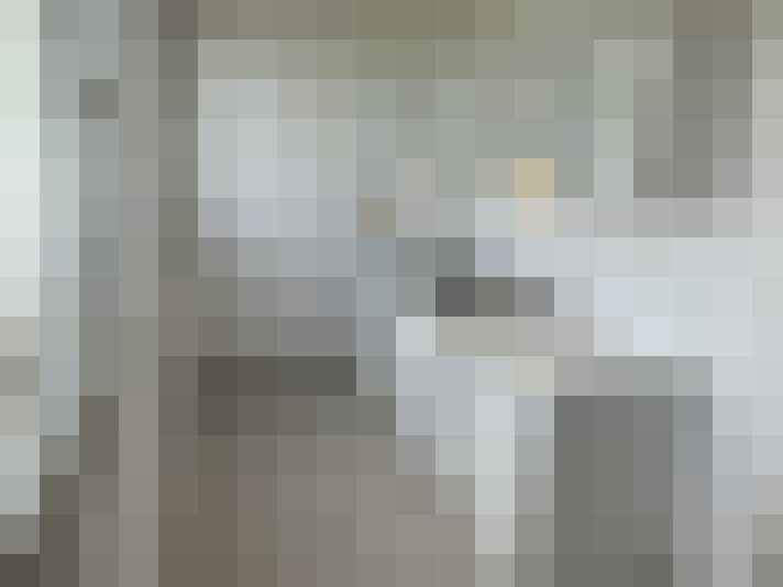  / #19