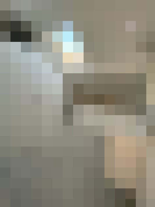  / #16