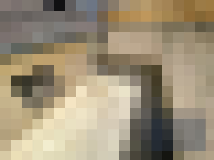  / #8