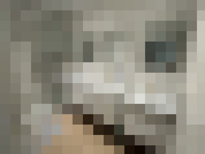  / #12