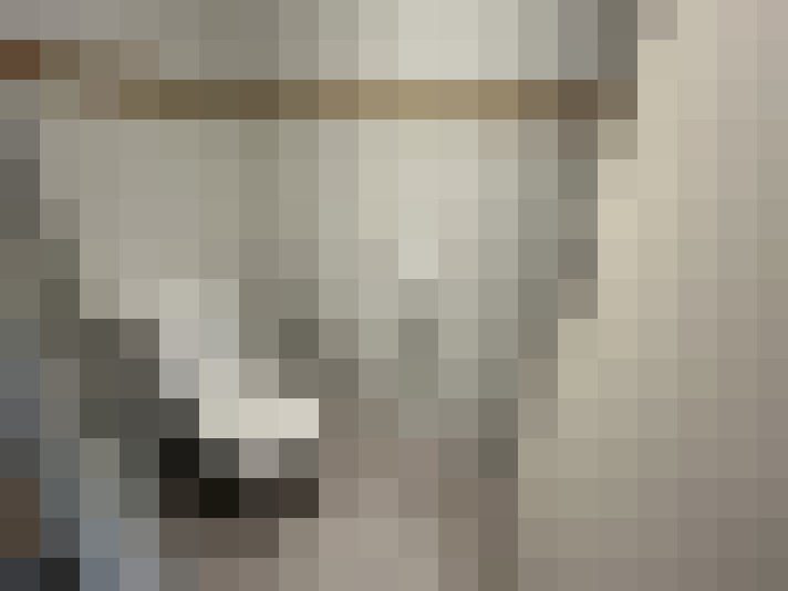  / #15