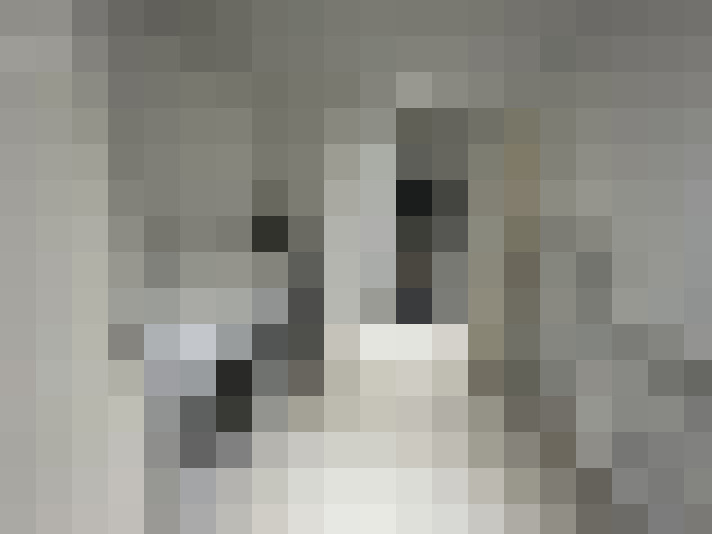  / #13