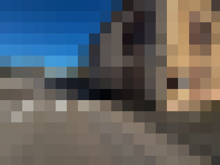  / #8
