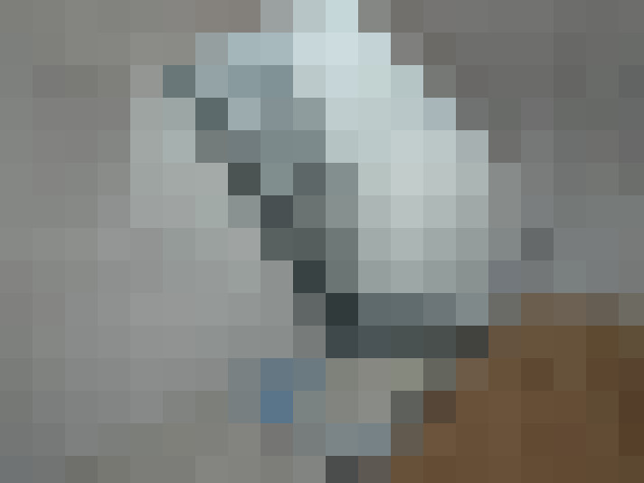  / #8