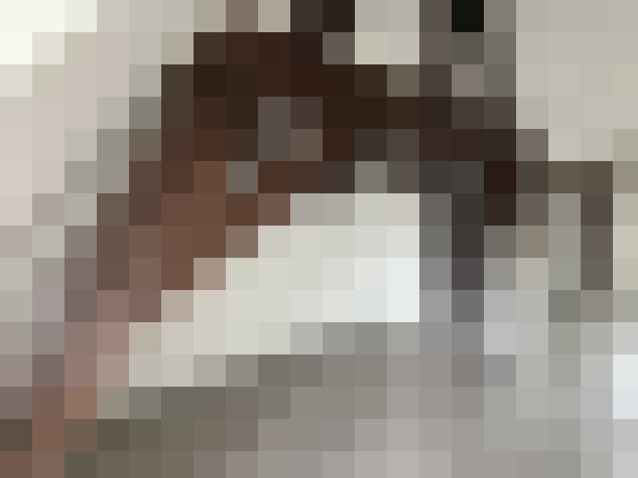  / #14