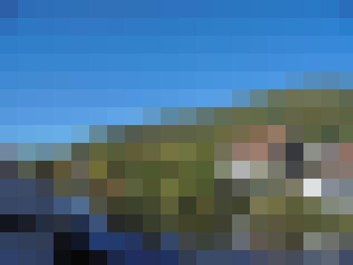  / #5