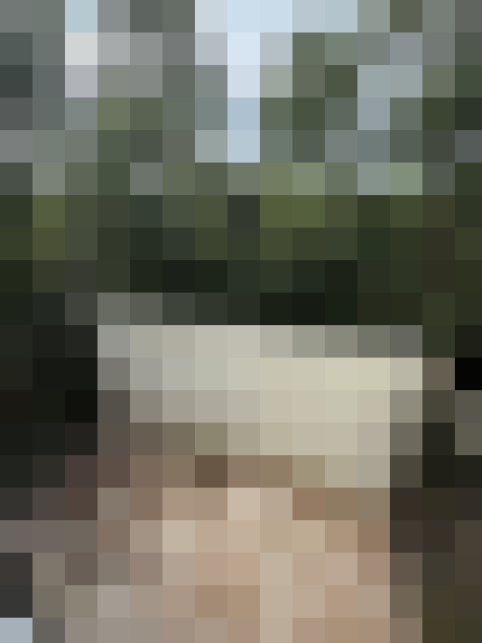  / #17
