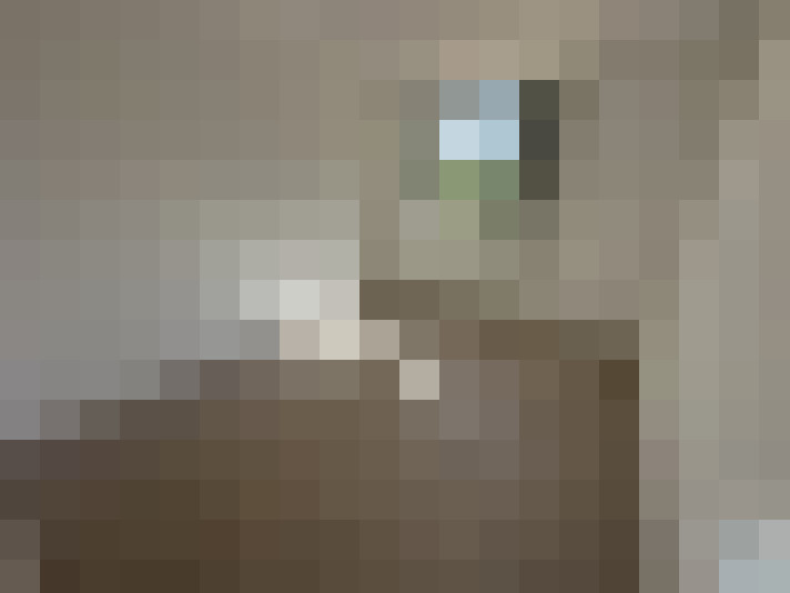  / #11