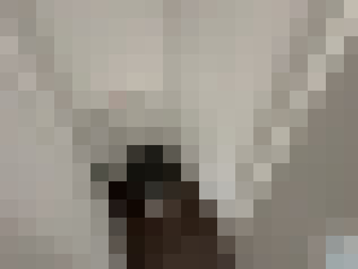  / #9