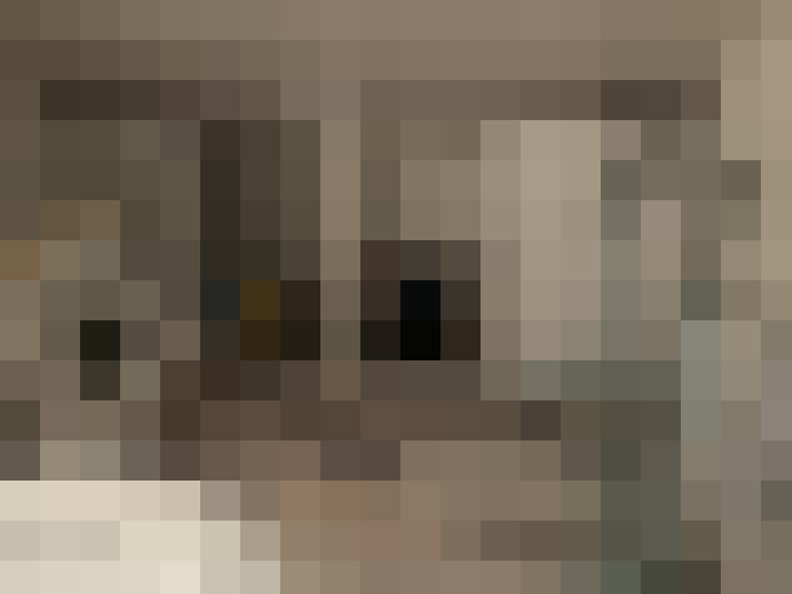  / #7