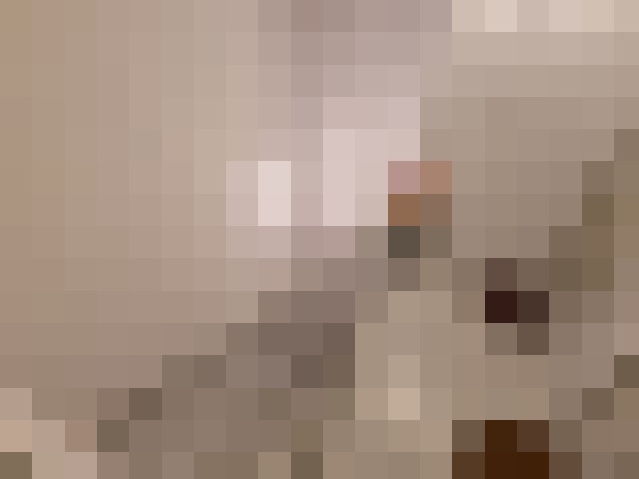  / #8