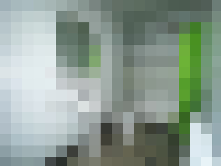  / #8