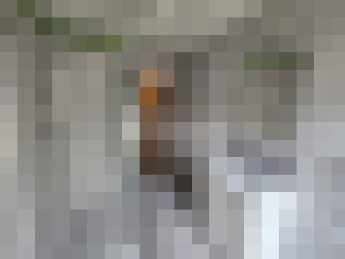  / #14