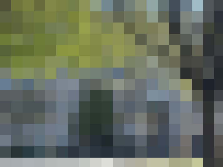  / #15