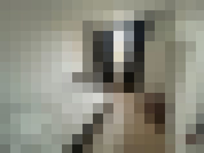 / #13