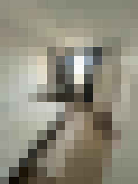  / #12