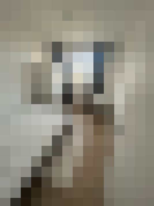  / #7